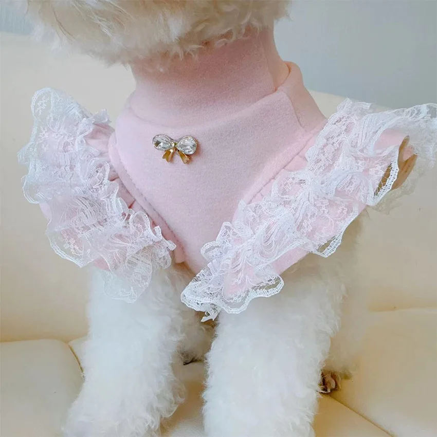 애완 동물 의류 가을, 겨울 기본 셔츠 레이스 플라잉  - Lace Teddy Lingerie 리뷰 및 가격
